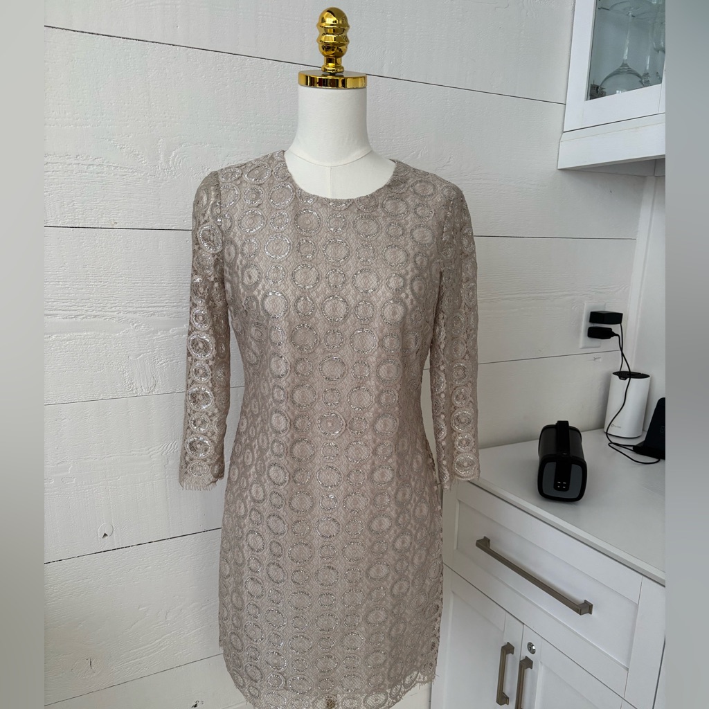 Cynthia Steffe Nwt Silver Champagne Lace Cocktail Dress S:2 Formal Wedding Guest